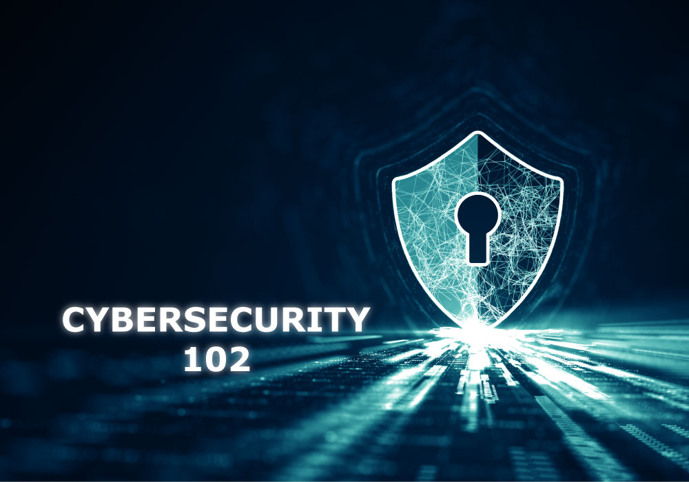Cybersecurity 102: Risks and Prevention
