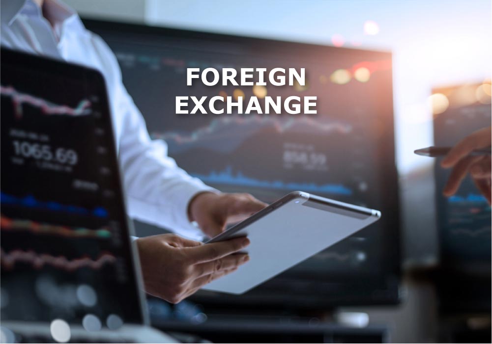 Foreign Exchange Market