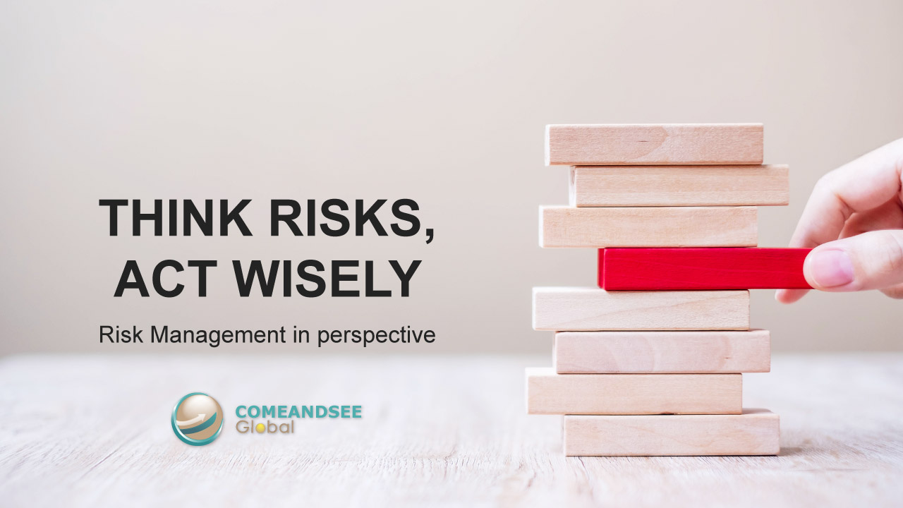 Think Risks, Act Wisely