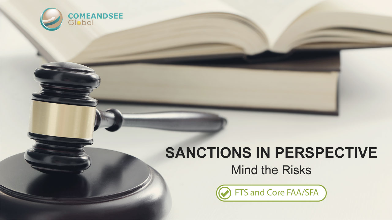 Sanctions in Perspective